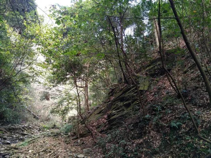 系带夏装