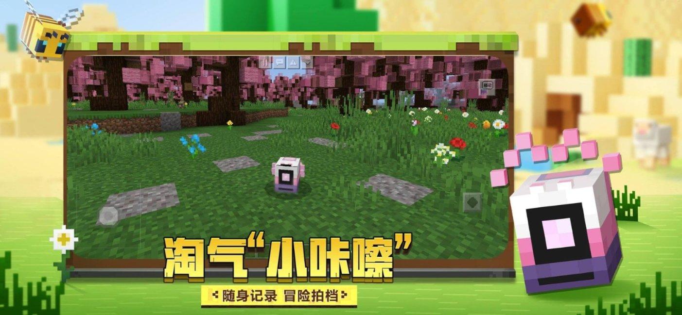 被质疑带货炒作,妹妹8科成绩总分66哥哥回应:她健康开心就好