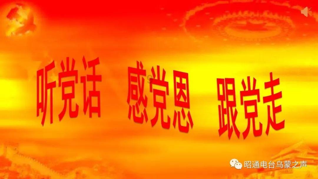 坦克大乱斗