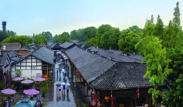为什么我老是记不住英语单词游戏画面